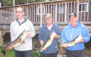 Peter, Mike and Al holding walleyes.