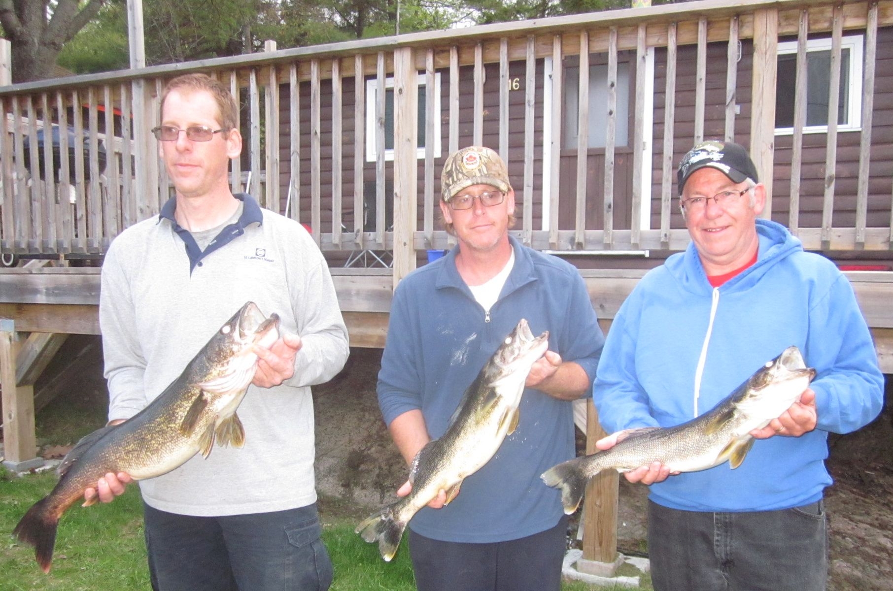 Peter, Mike and Al holding walleyes.